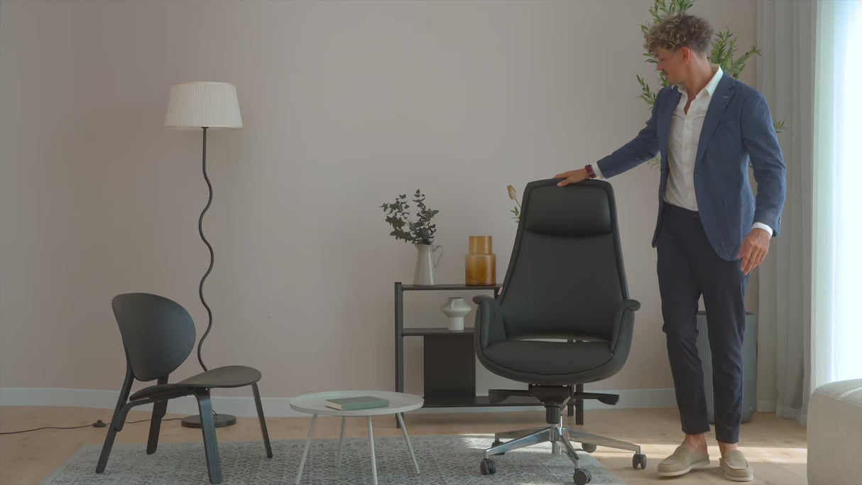 SkyLand Executive Chair CH 490 black